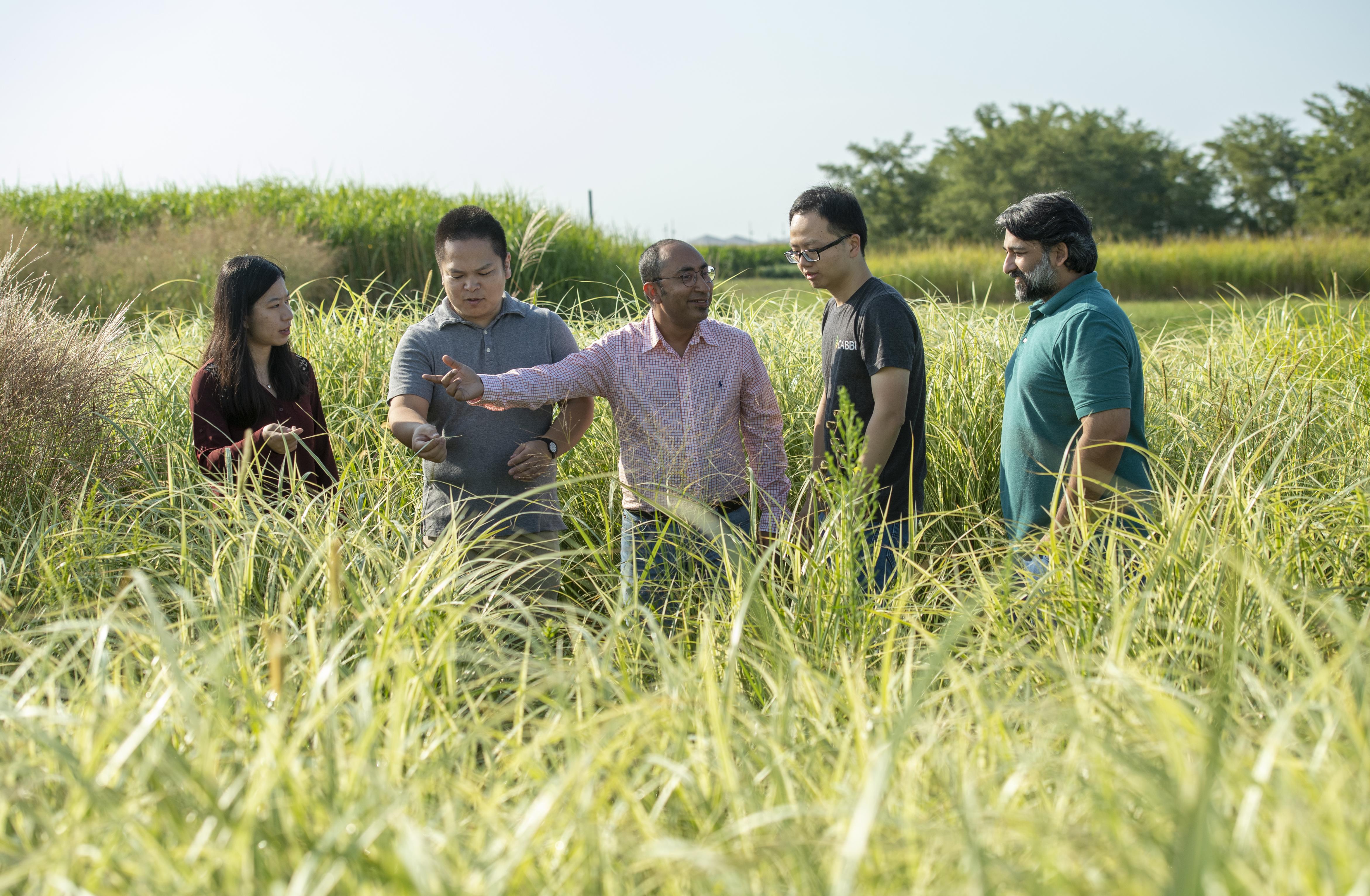 students working in a field with an instructor